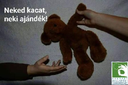 kedd